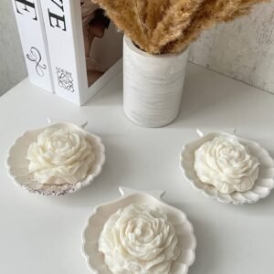 Shell Candle